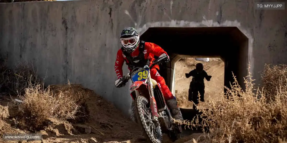 📱🎥 实时追踪，高清无死角！